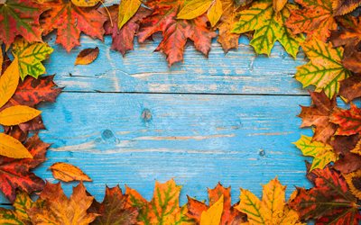 autumn frame, blue wooden background, frame of yellow leaves, natural frame, autumn concept