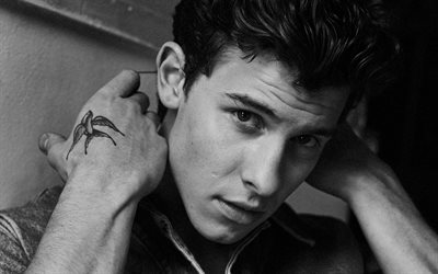 Shawn Mendes, canadian singer, portrait, photoshoot, popular singers, canadian celebrity, Shawn Peter Raul Mendes