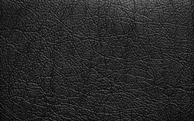 textura de couro preto, close-up, texturas de couro, textura de couro de fundo, fundo preto, couro padr&#245;es, couro fundos, macro, couro