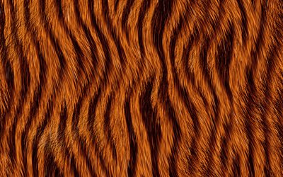 tiger texture, macro, arancione, sfondo nero, pelle di tigre texture, nero, arancio, strisce di pelle, sfondo tigre, tigre lana