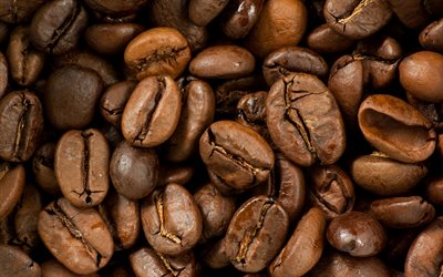 black coffee, grains coffee, macro, coffee texture