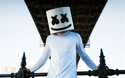 DJ, Marshmello, EDM, Djs in masks