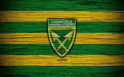 FC Lamontville Golden Arrows, 4k, wooden texture, South African Premier League, soccer, Lamontville Golden Arrows, South Africa, football, Lamontville Golden Arrows FC