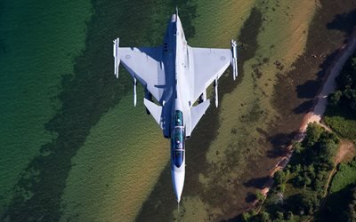 Saab JAS 39 Gripen, 39D, JAS, Swedish fighter, fourth generation, Swedish Air Force, combat aircraft, top view