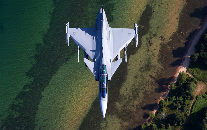 Saab JAS 39 Gripen, 39D, JAS, sueco, de combate, de cuarta generaci&#243;n, la Fuerza A&#233;rea de suecia, aviones de combate, vista superior