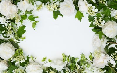 flores blancas, flores marco, el crisantemo, el floral de fondo, crisantemo blanco