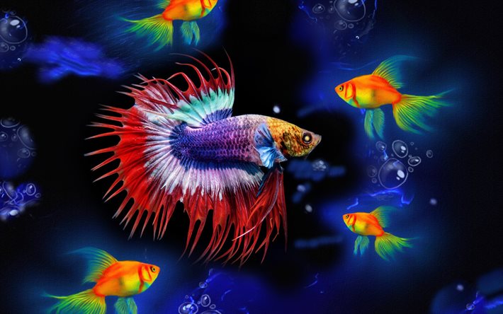 peces de colores, 3D, arte, mundo submarino, mar, pescado, creativo