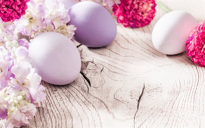 Pasqua, uova di Pasqua viola, primavera, dalie, fiori primaverili, sfondo di Pasqua, sfondo di legno, cornice di Pasqua