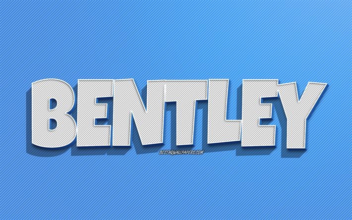Bentley, fundo de linhas azuis, pap&#233;is de parede com nomes, nome Bentley, nomes masculinos, cart&#227;o Bentley, arte de linha, imagem com nome Bentley