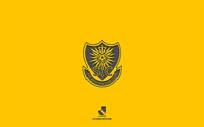 tochigi sc, sfondo giallo, squadra di calcio giapponese, emblema tochigi sc, j2 league, giappone, calcio, logo tochigi sc
