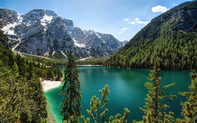 mountain lake, summer, mountain landscape, forest, glacial lake, USA