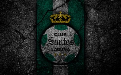 4k, Santos Laguna FC, logo, Lig MX, futbol, Lig, siyah taş, Meksika, Santos Laguna, asfalt doku, Futbol Kul&#252;b&#252;, FC Santos Laguna