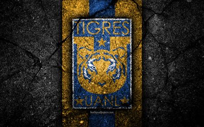 4k, UANL Tigres FC, logo, Lig MX, futbol, Lig, siyah taş, Meksika, Tigres UANL, asfalt doku, Futbol Kul&#252;b&#252;, FC Tigres UANL