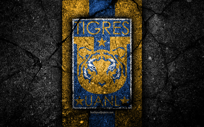 4k, UANL Tigres FC, logo, Liga MX, football, soccer, Primera Division, black stone, Mexico, UANL Tigres, asphalt texture, football club, FC UANL Tigres
