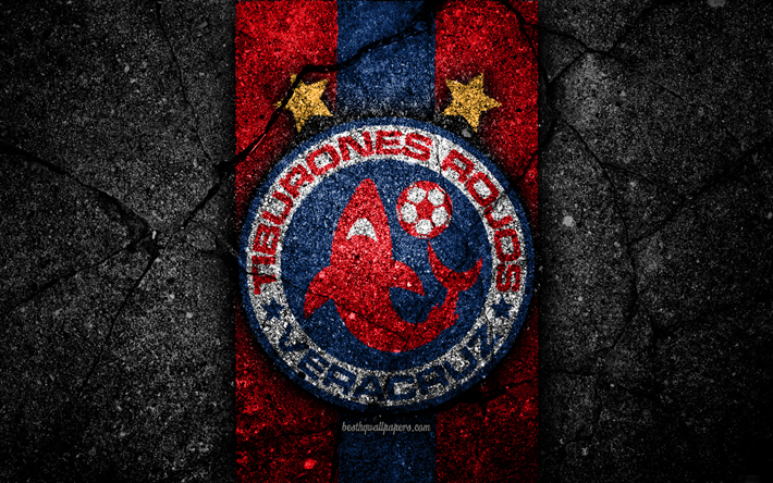 4k, Veracruz FC, logo, Liga MX, football, soccer, Primera Division, black stone, Mexico, Veracruz, asphalt texture, football club, FC Veracruz