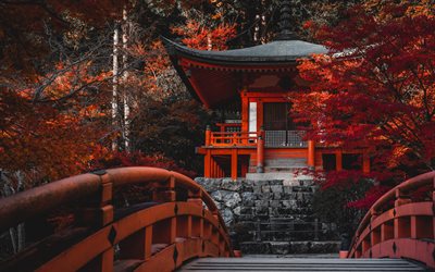 Daigo-ji Temple, Shingon Buddhist temple, Japanese temple, autumn, red trees, Fushimi-ku, Kyoto, Japan