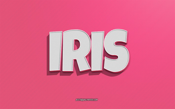 Iris, vaaleanpunaiset viivat tausta, taustakuvat nimill&#228;, Iris -nimi, naisten nimet, Iris -onnittelukortti, viivapiirros, kuva Iris -nimell&#228;