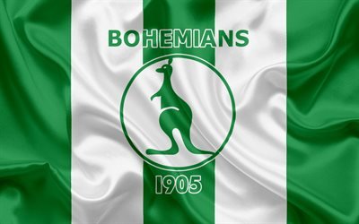 Bohemians 1905, Football club, Prague, Czech Republic, emblem, Bohemians logo, green silk flag, Czech football championship