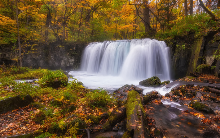 waterfall, autumn, yellow trees, forest, autumn landscape