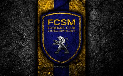 4k, FC Sochaux, logo, Lega 2, il calcio, la pietra nera, la Francia, il club di calcio, Liga 2, Sochaux, asfalto texture, francese football club FC Sochaux