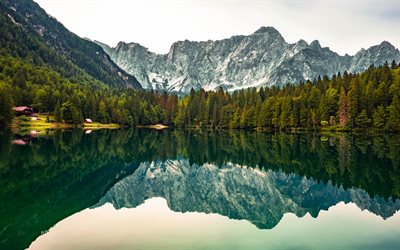 Fusine湖, イタリアの山岳湖, 山の風景, 森林, 緑の木々, 美しい湖, 湖イタリア, ジュリアンアルプス, イタリア