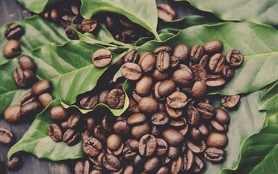 i chicchi di caff&#232;, foglie verdi, caff&#232; concetti, grani
