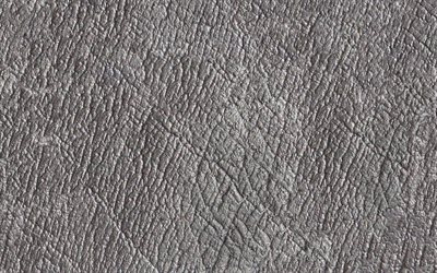 gray leather texture, leather textures, gray backgrounds, leather backgrounds, macro, leather, gray leather background