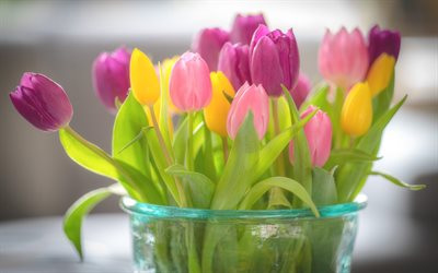 bouquet de tulipes, vase en verre, fleurs printani&#232;res, tulipes color&#233;es, beau bouquet, fond avec tulipes, tulipes roses
