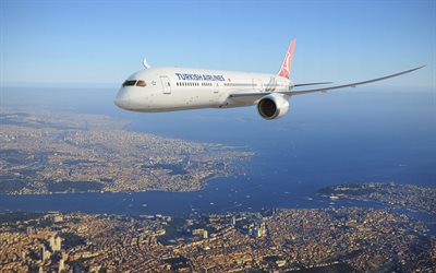 Turkish Airlines, passenger plane, Istanbul from above, Istanbul panorama, Bosphorus from above, Istanbul, Turkey, passenger transportation