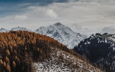 berg, landschaft, winter, wald, schnee, tr&#252;bes wetter