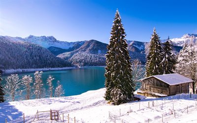 Il lago di Sauris, Italia, lago di montagna, inverno, neve, alberi, Alpi, il Lago di Sauris