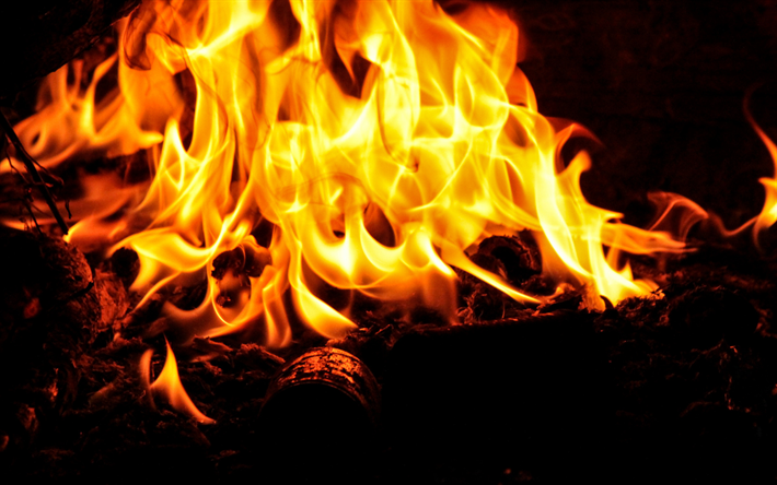 flame, fire, hot coals, camp, lights