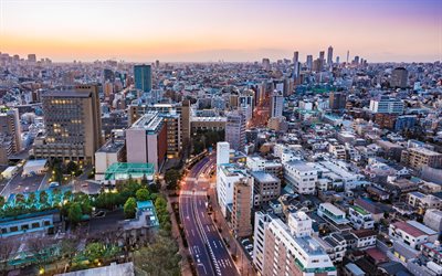 Tokyo, 4k, Japan, stadsbilden, hus, kv&#228;ll, panorama city