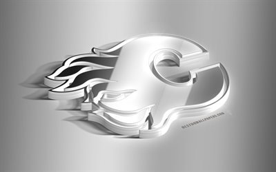 Calgary Alevler, 3D &#231;elik logo, Kanadalı Hokey Kul&#252;b&#252;, 3 BOYUTLU amblem, NHL, Calgary, Alberta, Kanada, ABD, Ulusal Hokey Ligi, Calgary Alevler metal amblem, hokey, yaratıcı 3d sanat