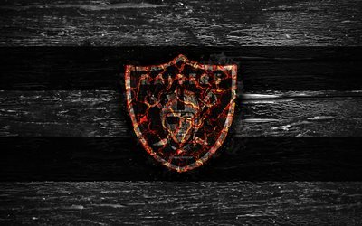 oakland raiders -, feuer-logo, nfl, wei&#223;en und schwarzen linien, amerikanischer football, usa, holz-textur, afc, national football league, oakland raiders logo