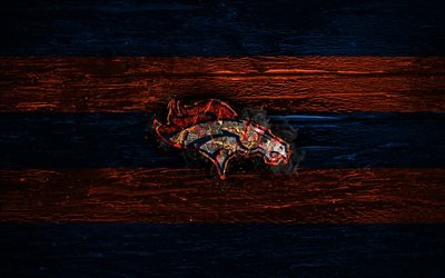 Denver Broncos, fogo logotipo, NFL, azul e laranja, futebol americano, EUA, textura de madeira, AFC, A Liga Nacional De Futebol, Denver Broncos logotipo