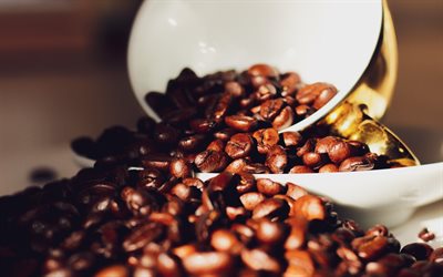 coffee beans, macro, aromatic coffee, coffee concepts, golden cup