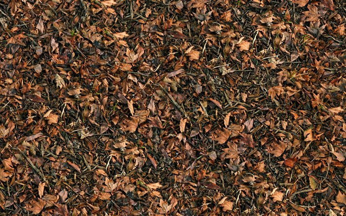 茶色の葉の背景, 4k, テクスチャを残します, 秋のテクスチャ, 葉のパターン, 紅葉, 葉の背景, 茶色の背景