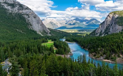 mountain river, mountain valley, forest, Alps, Germany, mountain landscape, summer