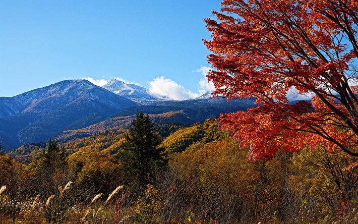 Norikura-vuori, 4k, syksy, Norikura-dake, vuoret, japanilaiset maamerkit, Japani, Aasia, kaunis luonto
