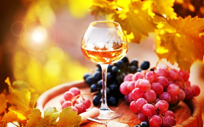 النبيذ الأبيض, العنب, الخريف, كوب من النبيذ, النبيذ