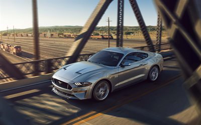 Ford Mustang, 4k, new Mustang, silver Mustang, road, speed, American cars, Ford