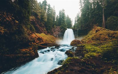vattenfall, skogen, tr&#228;d, h&#246;st, berg river, berg, USA