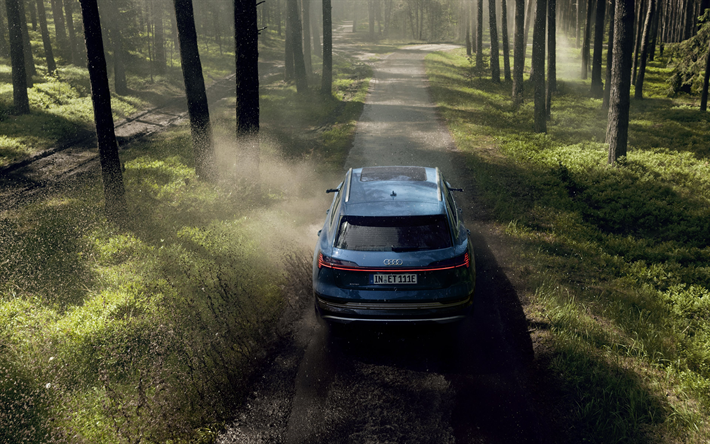 Audi e-tron, 2019, 4k, vista posteriore, esterno, blu nuovo e-tron, il SUV elettrico, elettrico, auto, Audi