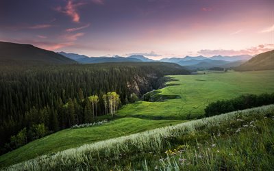 foresta, tramonto, sera, paesaggio di montagna, Canada