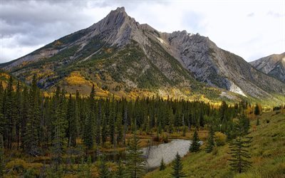 mountain landscape, rock, forest, mountains, autumn
