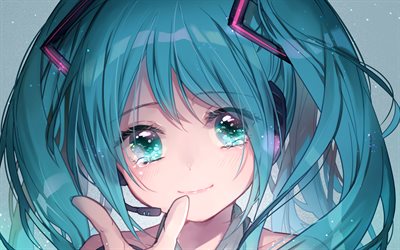 Hatsune Miku, Japansk virtuell s&#229;ngerska, Vocaloid, tecken