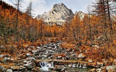 autunno, paesaggio di montagna, giallo, boschi, montagne, fiume di montagna
