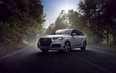 Audi Q7, 2017, luxury SUV, white Q7, German cars, Audi, forest, road, fog