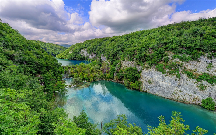 Plitvice Lakes, forest, green trees, Croatia, river, waterfalls, National Park
